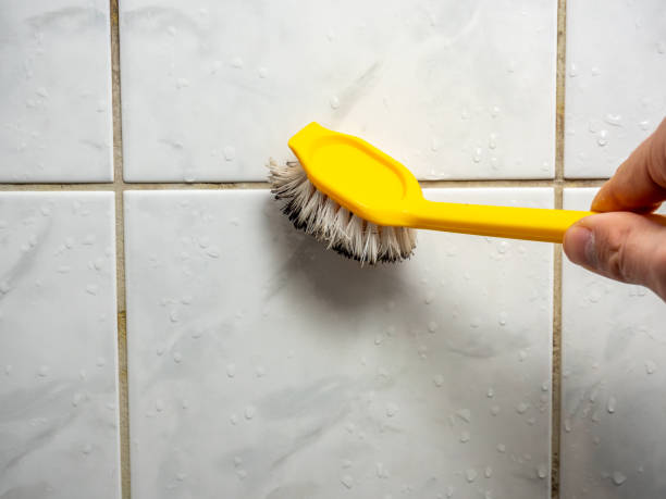 Best Home Mold Removal  in Lower Grand Lagoon, FL