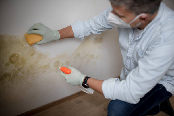 Best Crawl Space Mold Removal  in Lower Grand Lagoon, FL