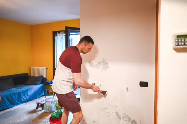 Best Mold Damage Repair  in Lower Grand Lagoon, FL